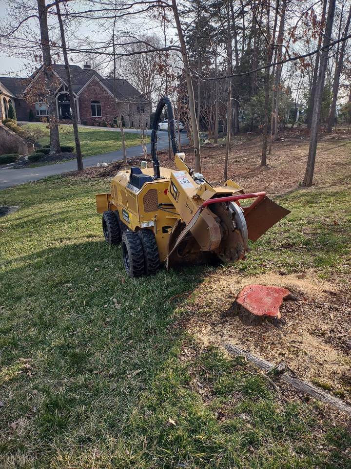 Danville Tree Company Image
